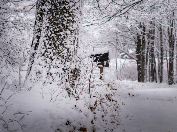 Winter Wanders - 5 Walks for Winter in Stowe