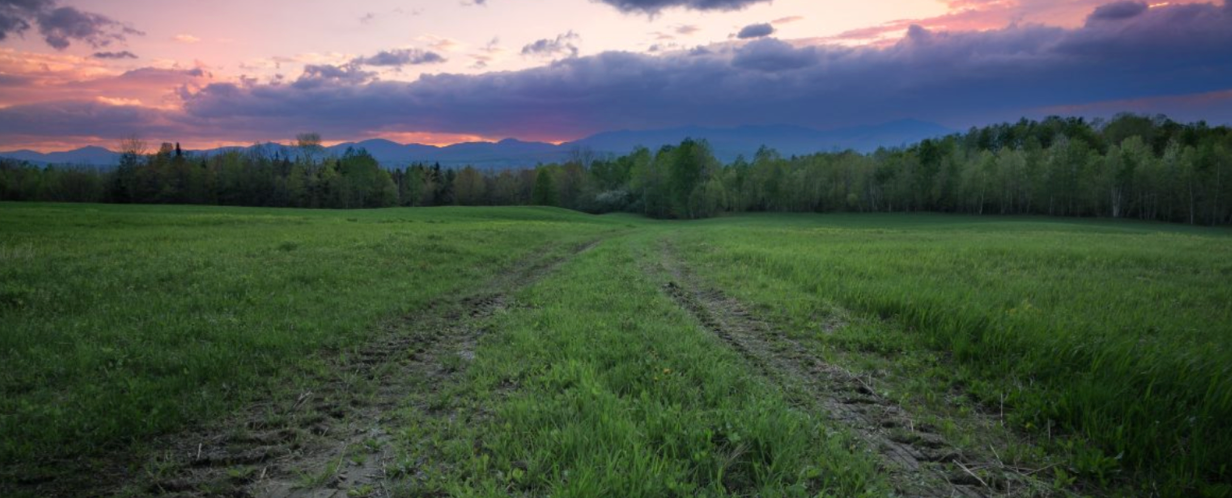 Vermont's Fifth Season