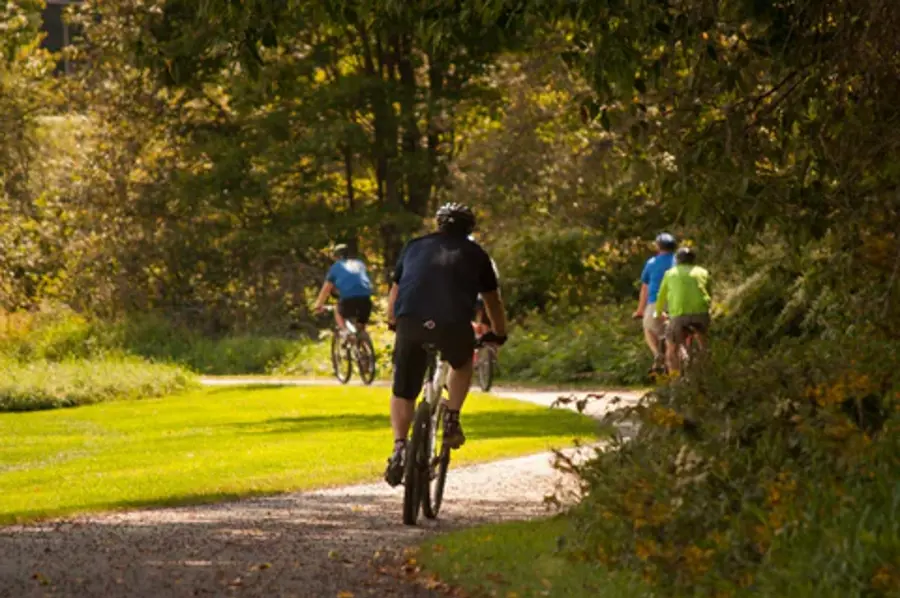 A group of cyclists ride along a sunlit, tree-lined park path, surrounded by lush green grass and foliage, creating a serene, leisurely atmosphere.