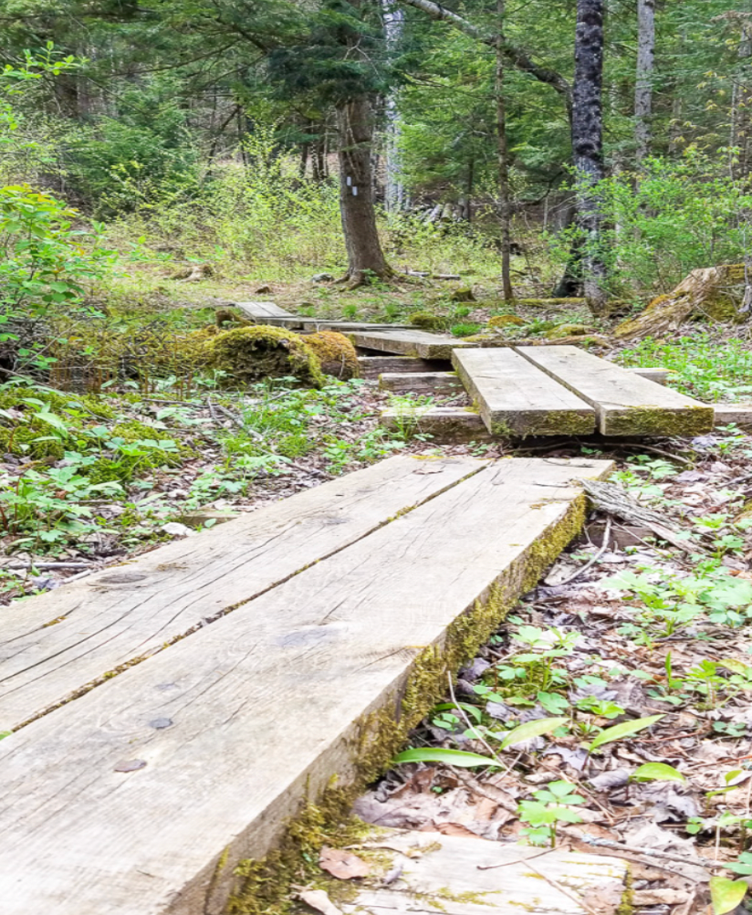 Hiking During Mud Season