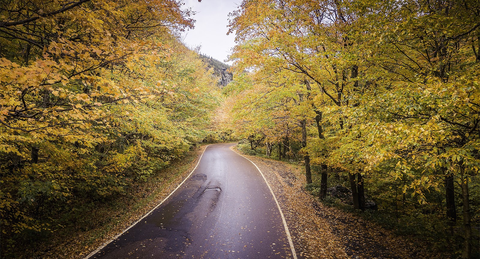 Top Five Foliage Drives In Stowe