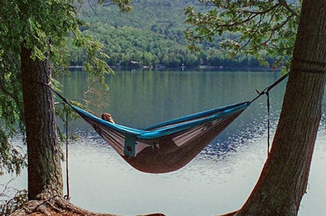 Hammock Hanging Between Two Trees In Front Of A Lake