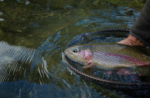 Stowe Recreation Path