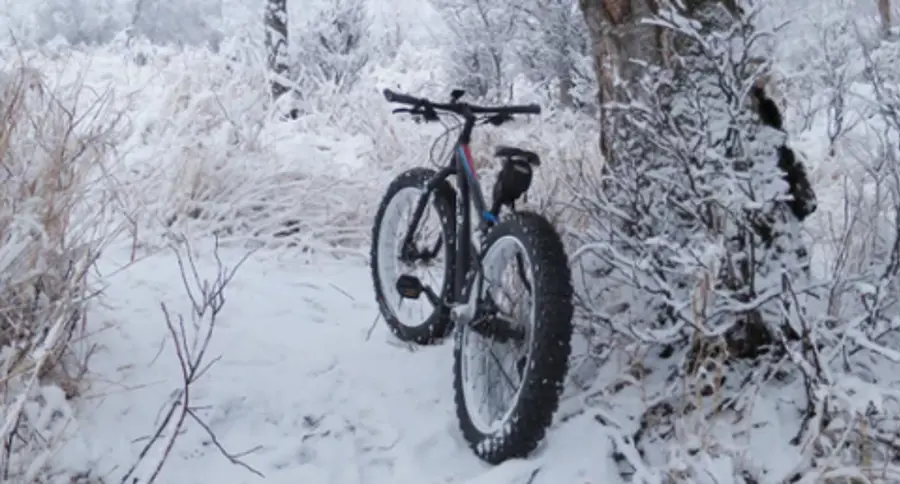 A fat-tire bike rests against a snow-covered tree in a winter landscape. The thick snow blankets the ground and surrounding bushes, creating a serene scene.