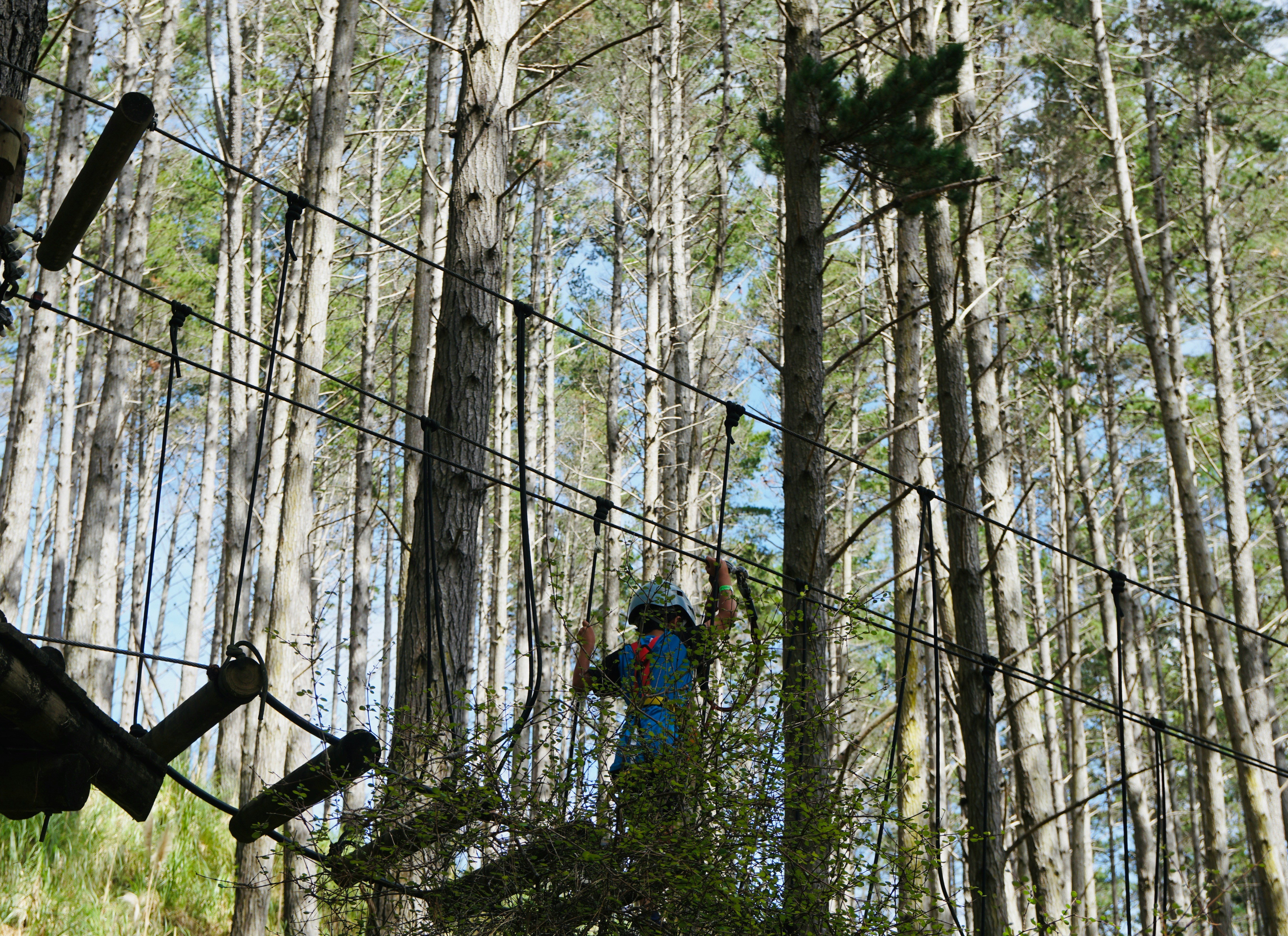 Yulin Wang Wtkir Sq5ni Unsplash